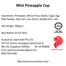 Load image into Gallery viewer, Mini Pineapple Balls (Bite size)迷你黄金旺来球 80pcs+-